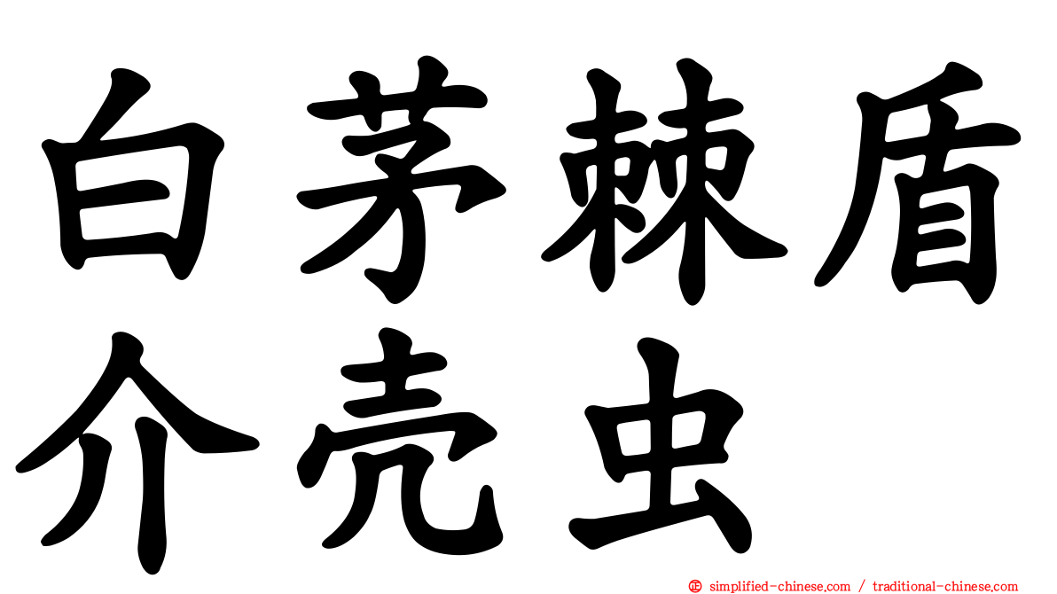 白茅棘盾介壳虫