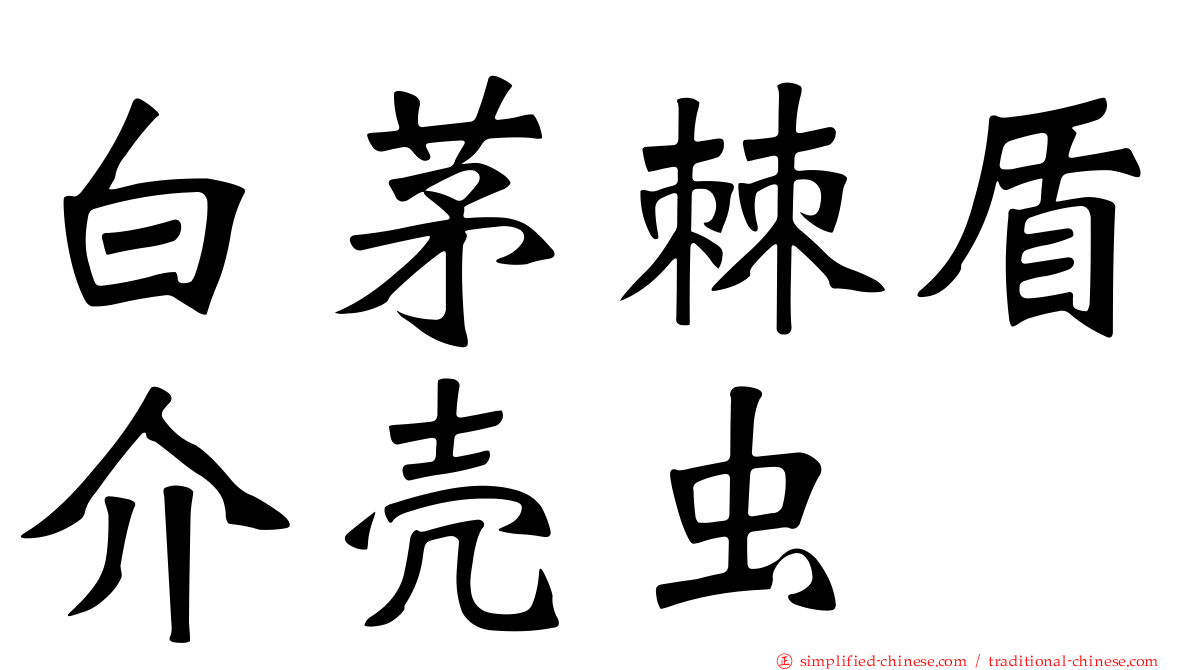 白茅棘盾介壳虫