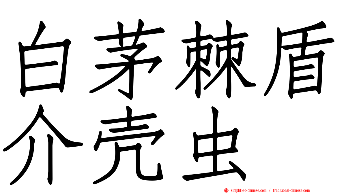 白茅棘盾介壳虫