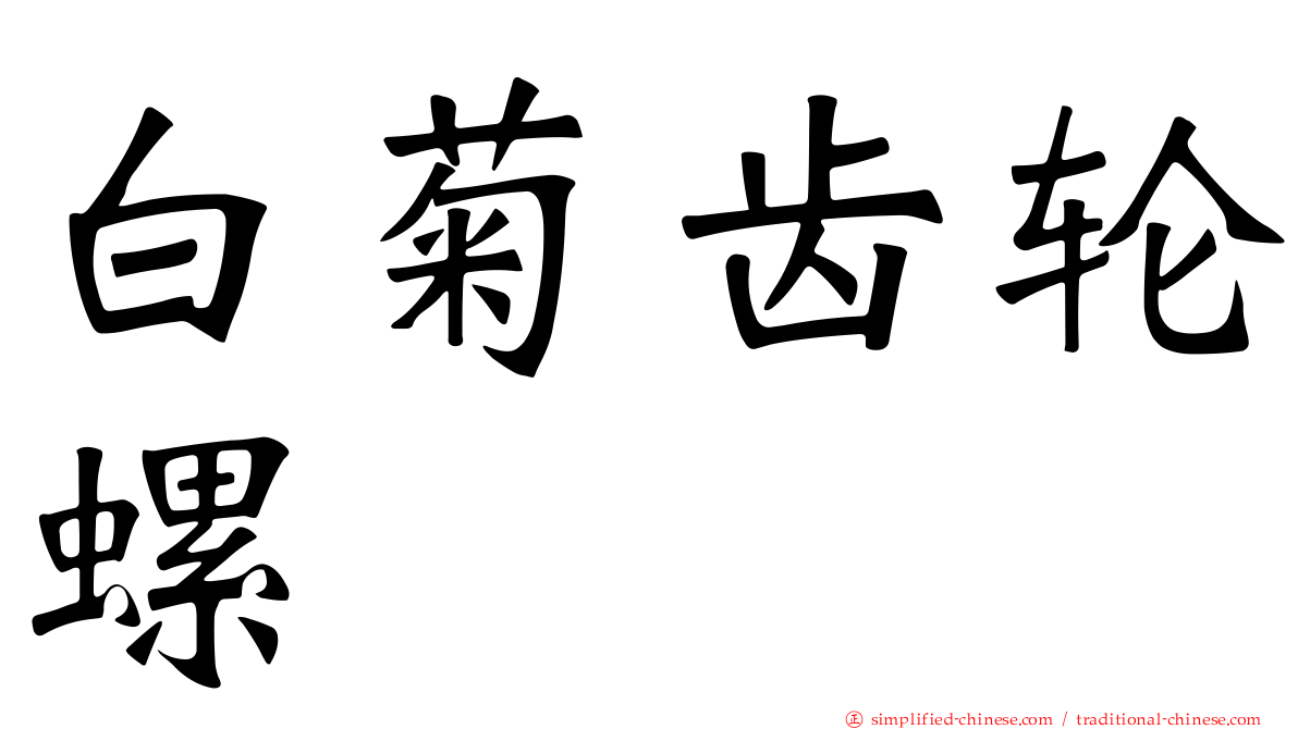 白菊齿轮螺