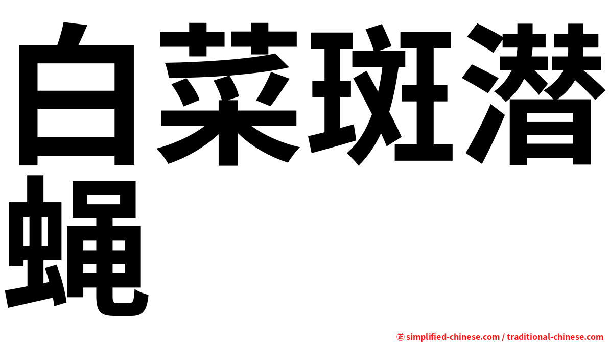 白菜斑潜蝇