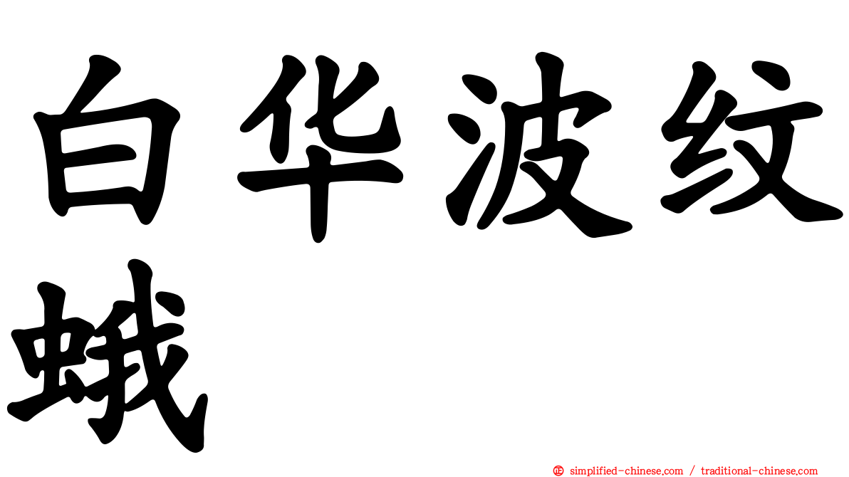 白华波纹蛾