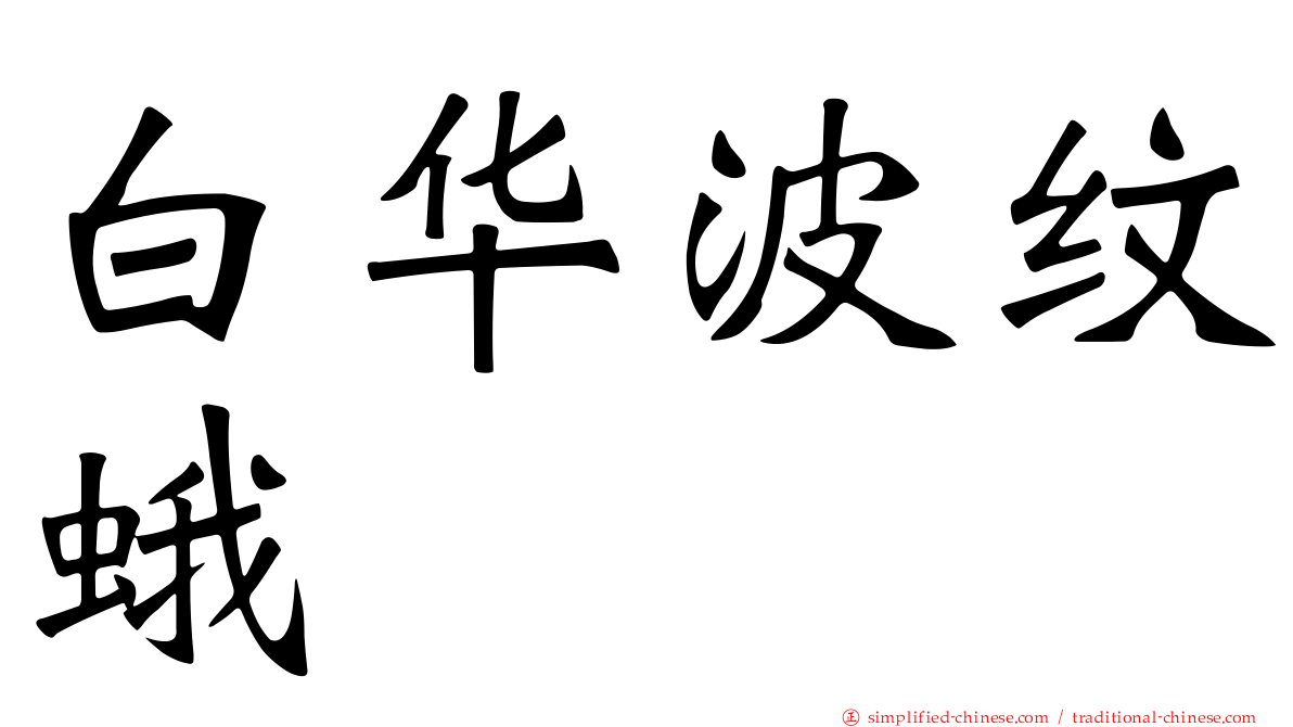 白华波纹蛾