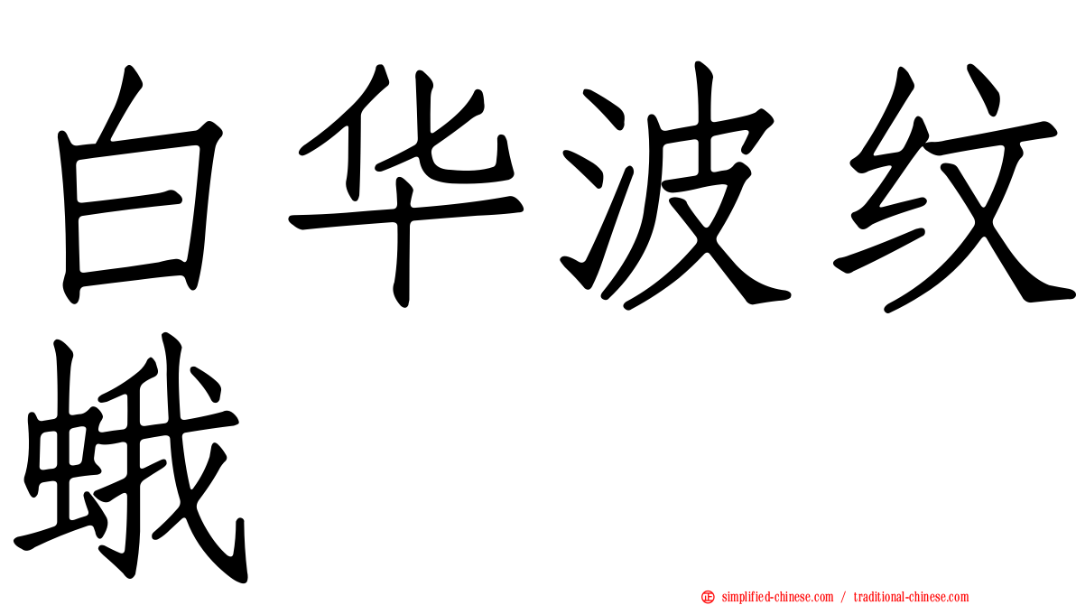 白华波纹蛾