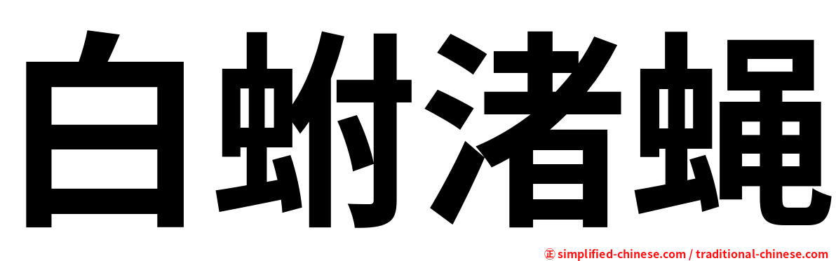 白蚹渚蝇