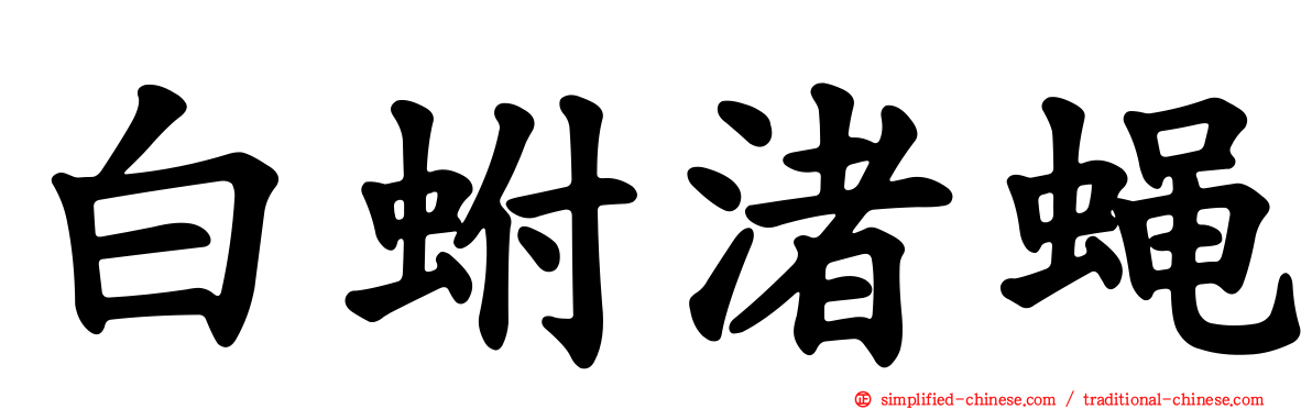 白蚹渚蝇