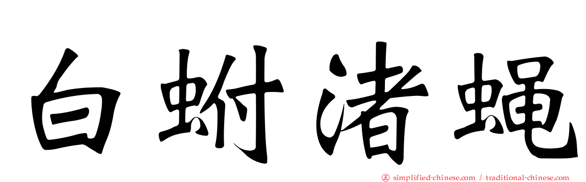 白蚹渚蝇