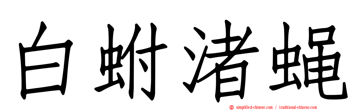 白蚹渚蝇