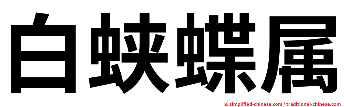 白蛱蝶属