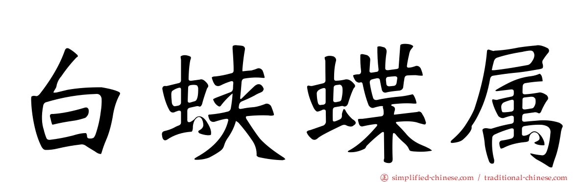 白蛱蝶属