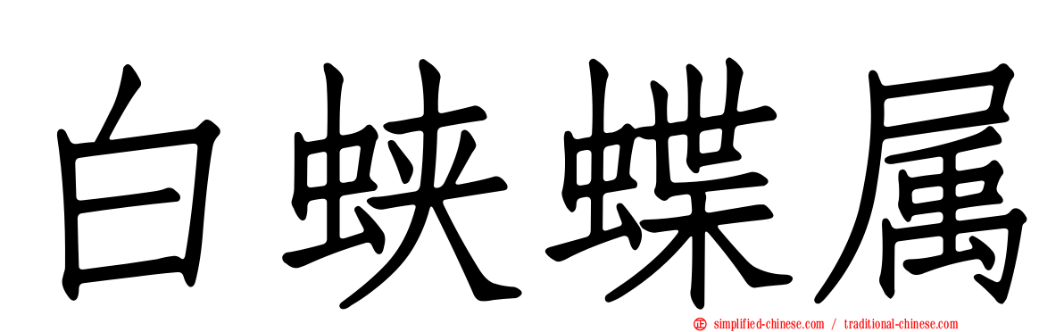 白蛱蝶属