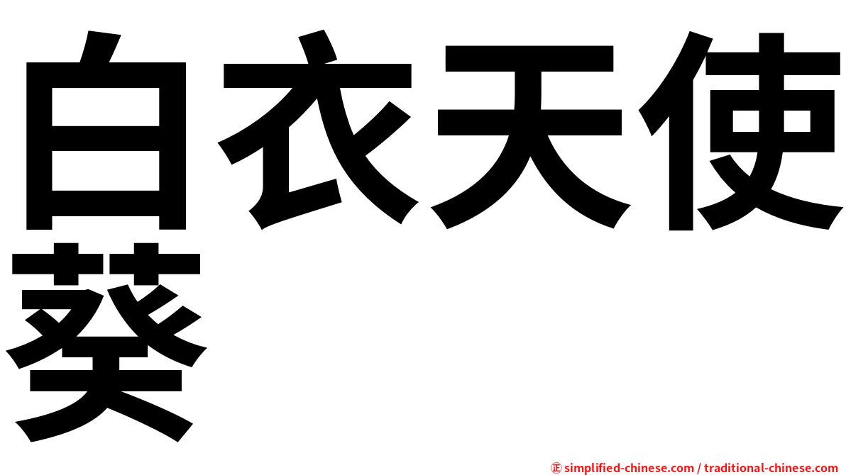 白衣天使葵