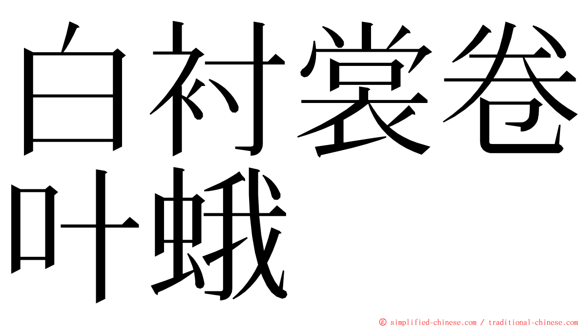 白衬裳卷叶蛾 ming font