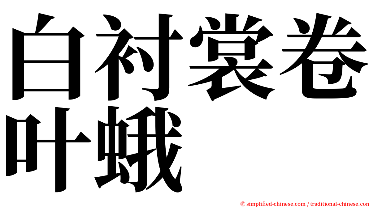 白衬裳卷叶蛾 serif font