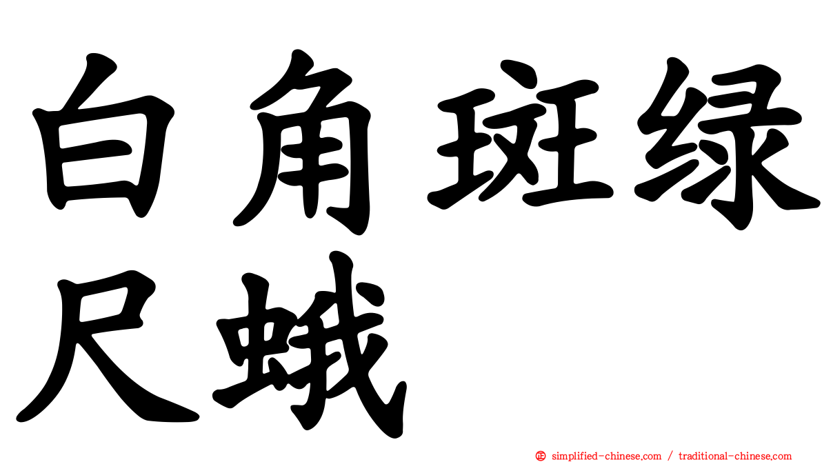 白角斑绿尺蛾