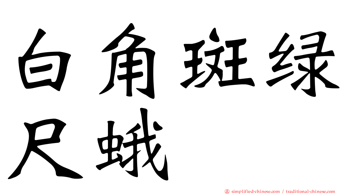 白角斑绿尺蛾