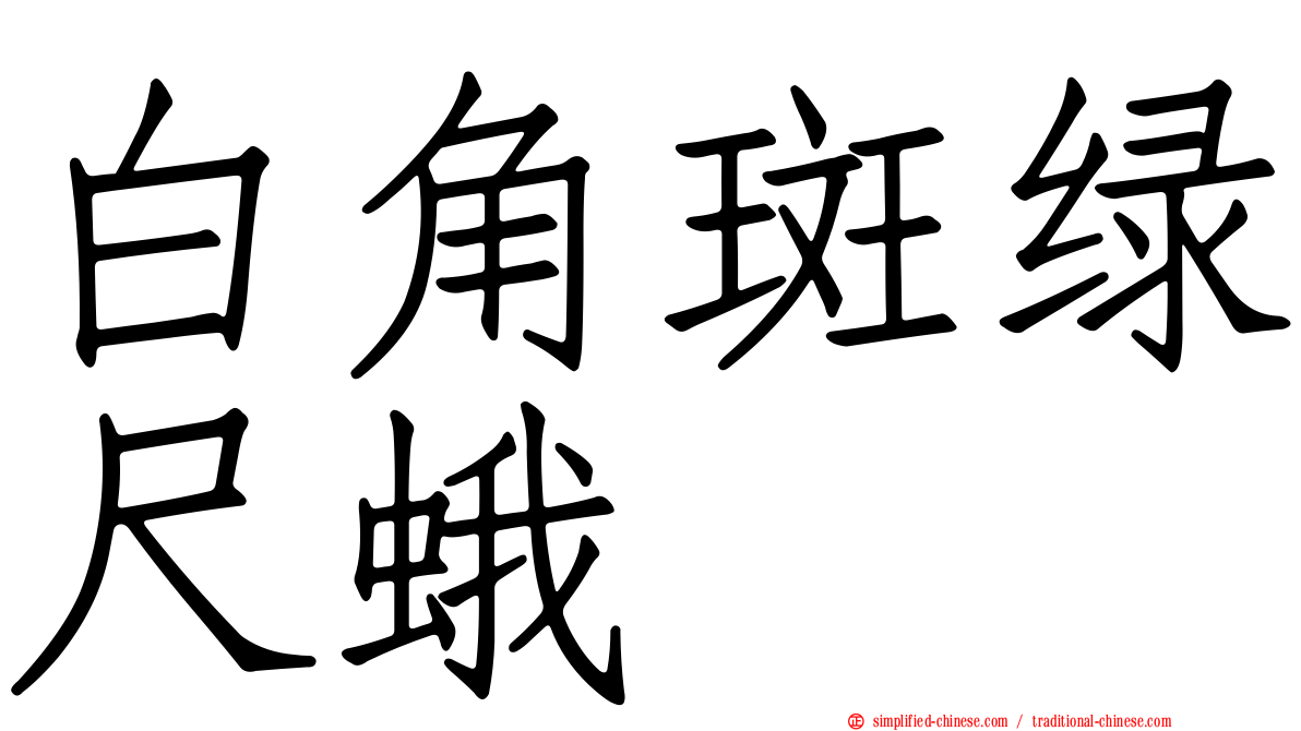 白角斑绿尺蛾