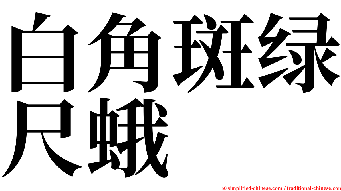 白角斑绿尺蛾 serif font