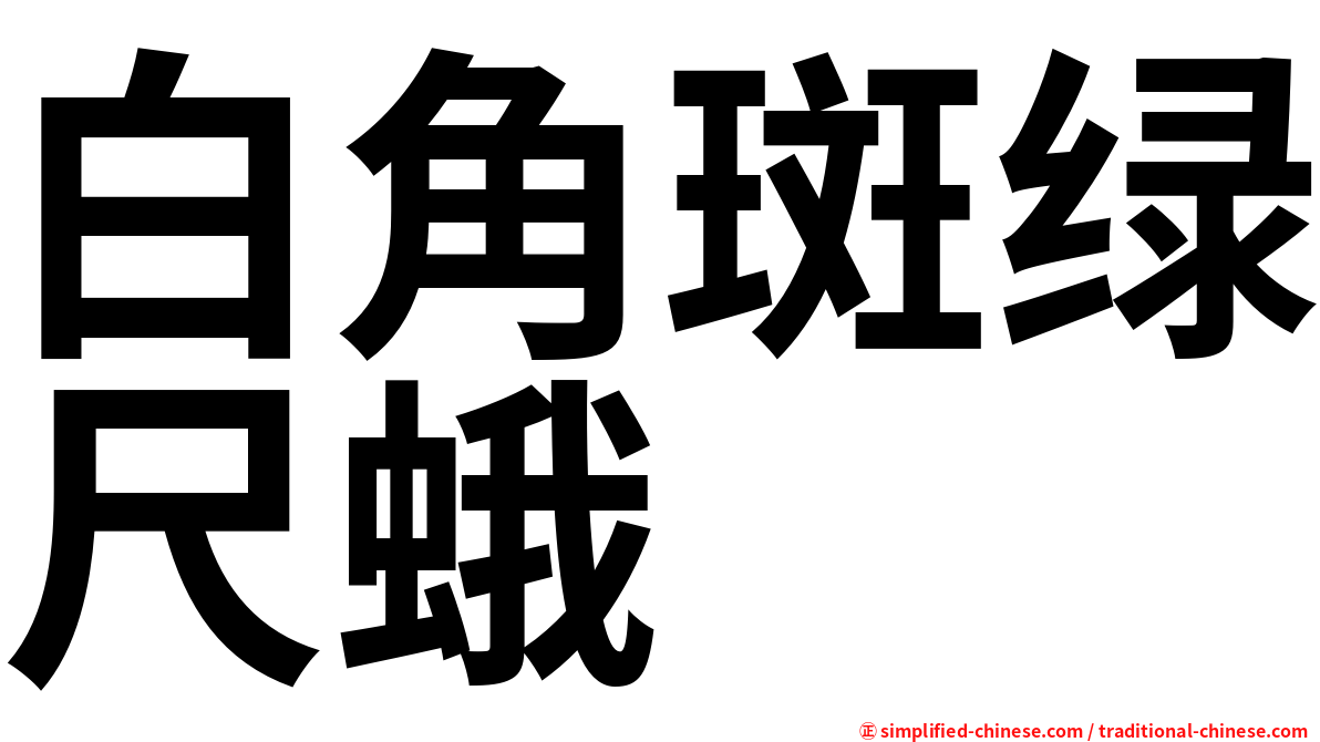 白角斑绿尺蛾