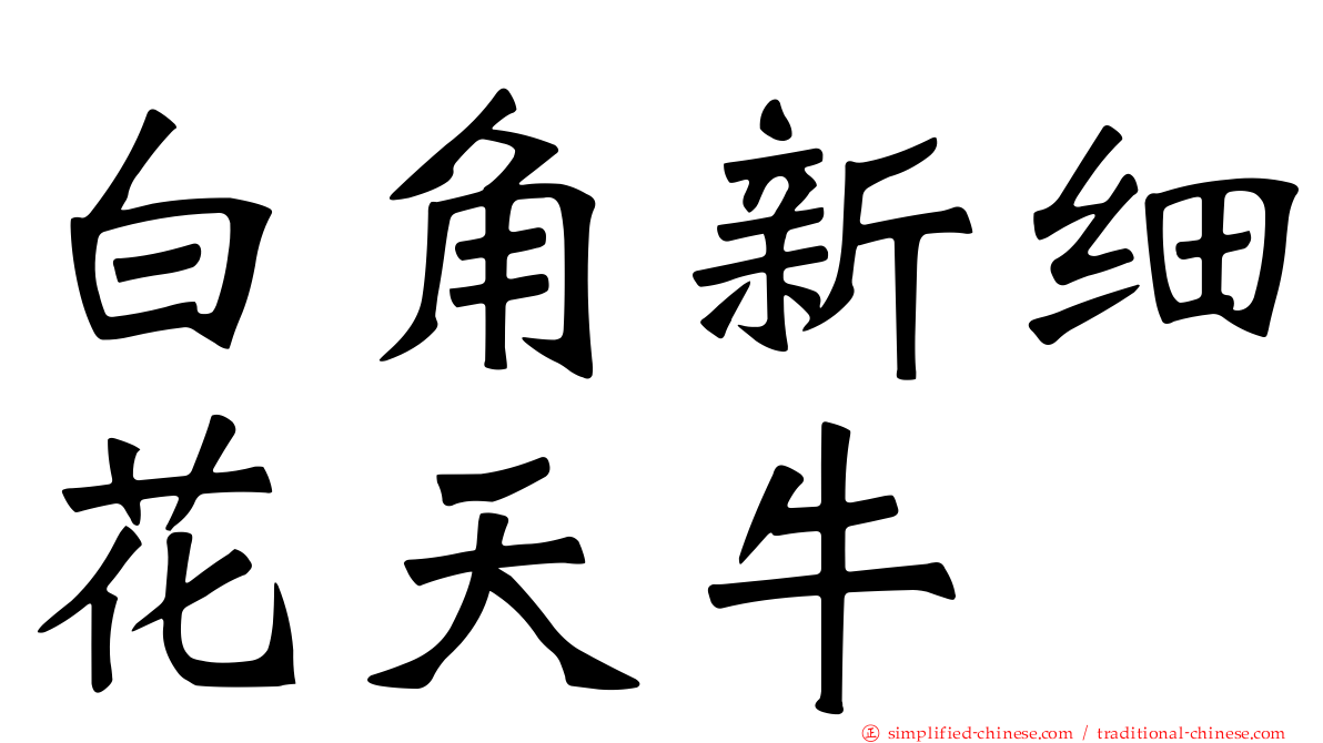 白角新细花天牛