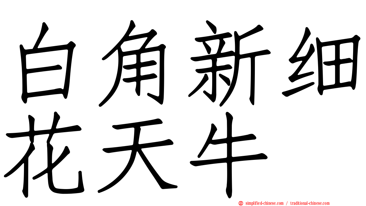 白角新细花天牛