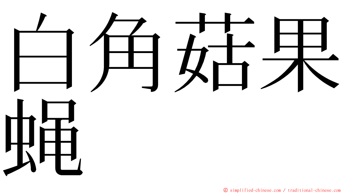 白角菇果蝇 ming font
