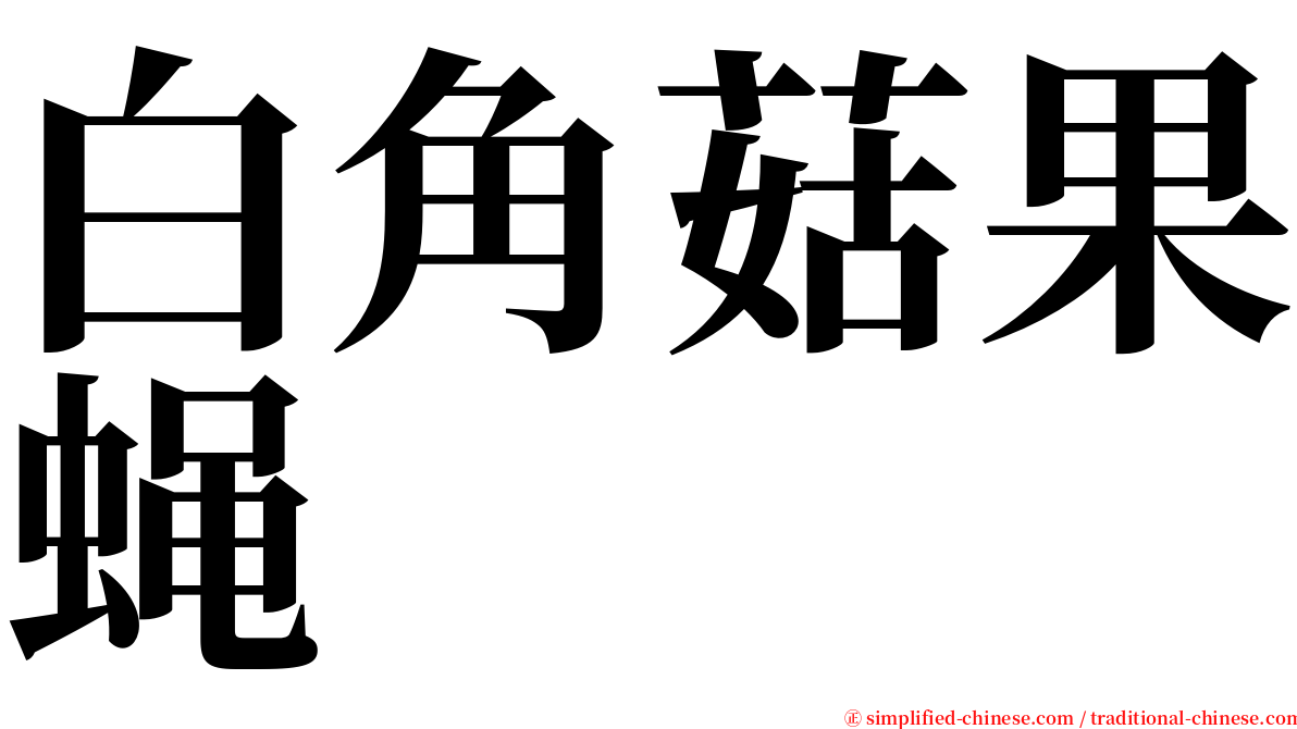 白角菇果蝇 serif font