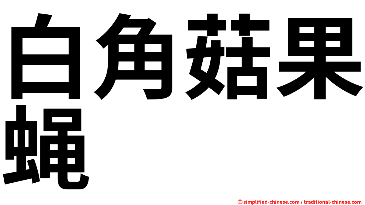 白角菇果蝇