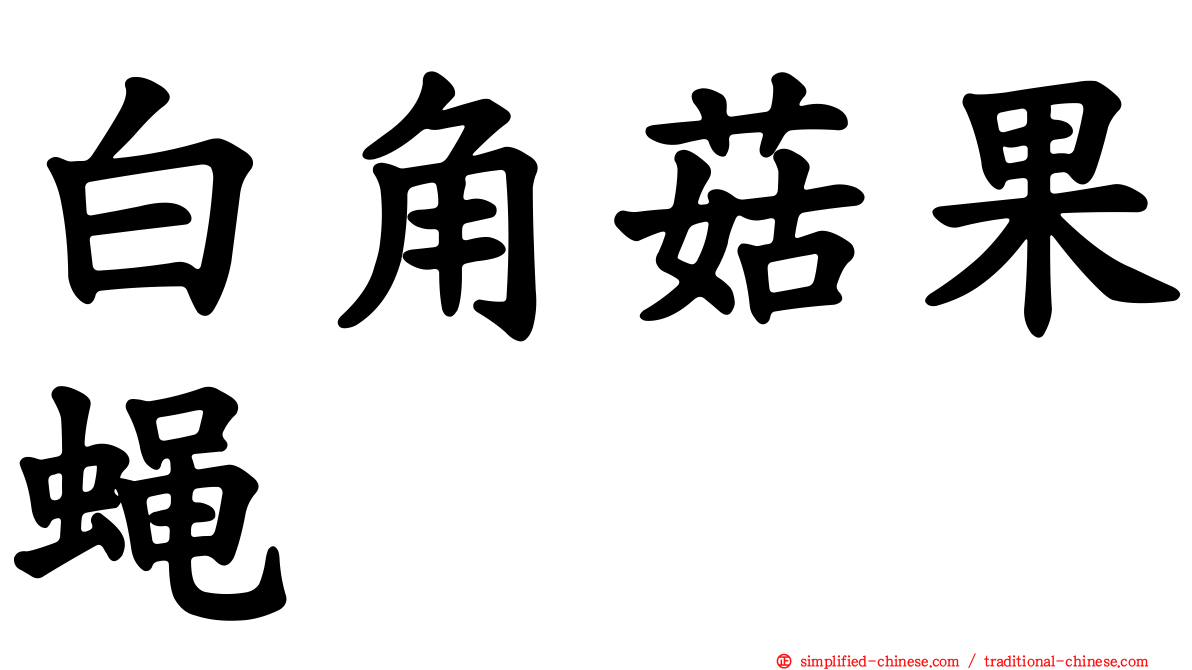 白角菇果蝇