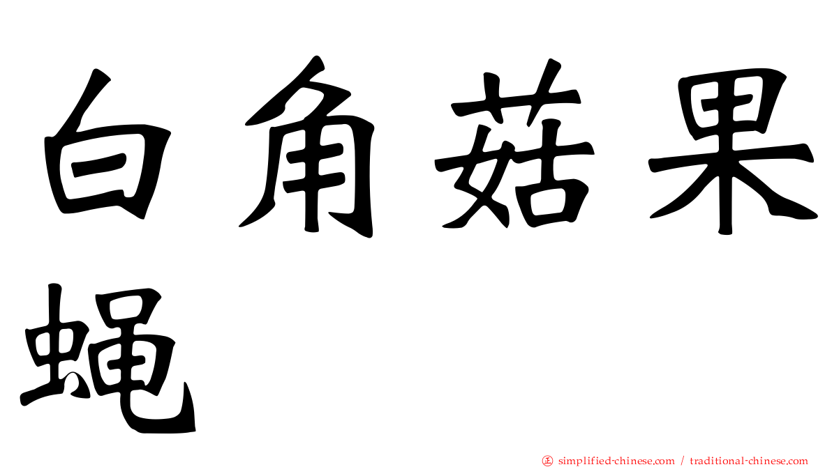白角菇果蝇