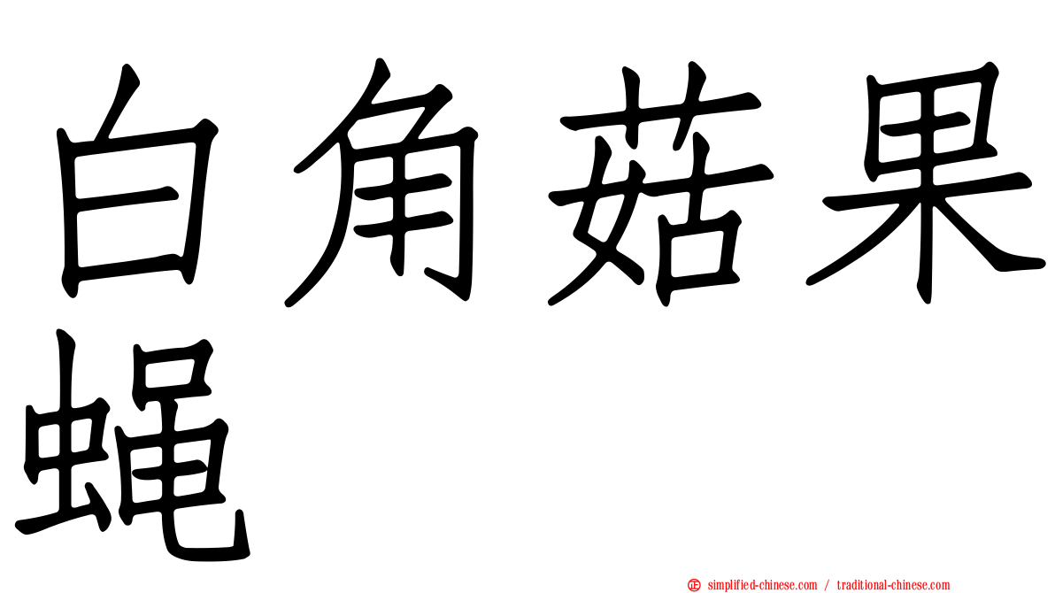 白角菇果蝇