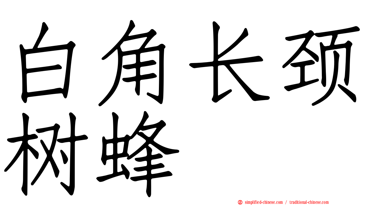 白角长颈树蜂
