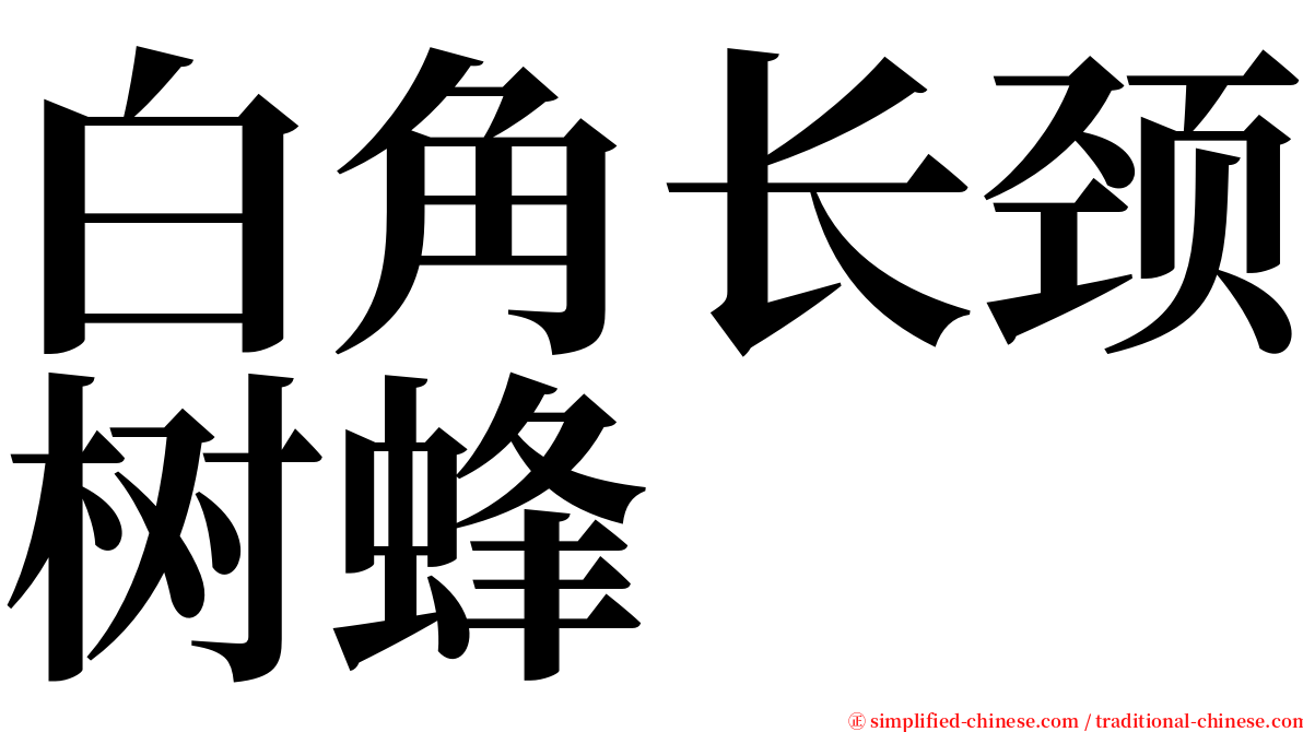 白角长颈树蜂 serif font