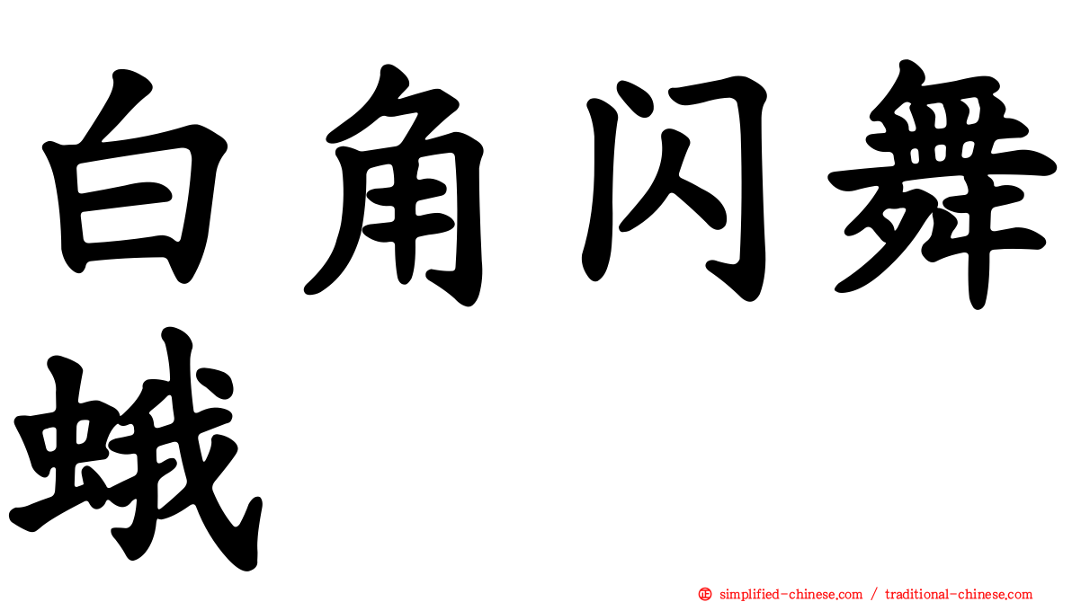 白角闪舞蛾