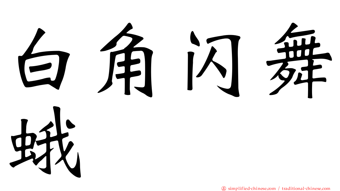 白角闪舞蛾