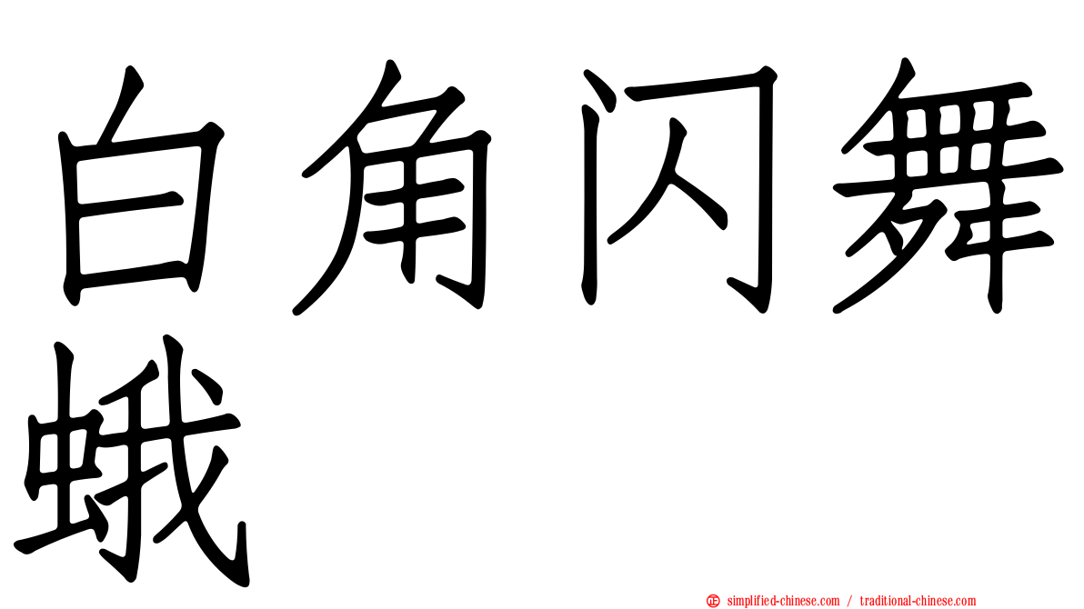 白角闪舞蛾