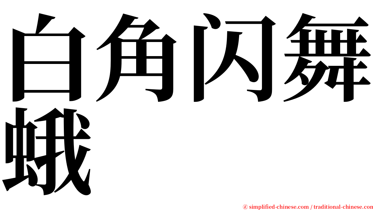 白角闪舞蛾 serif font