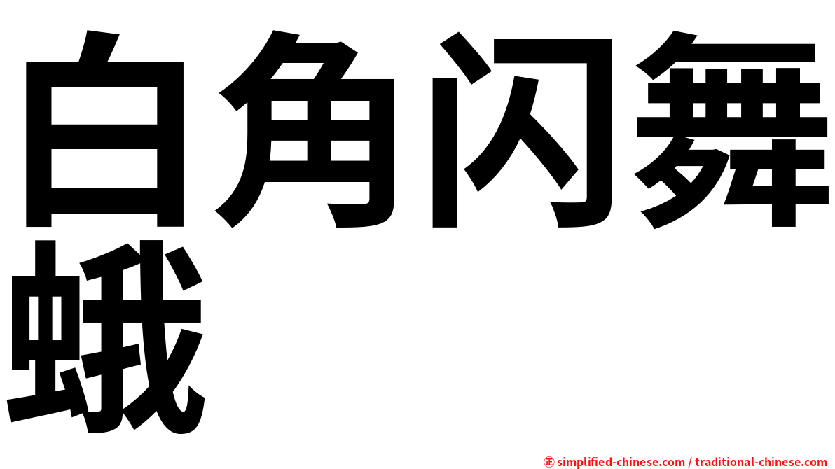 白角闪舞蛾
