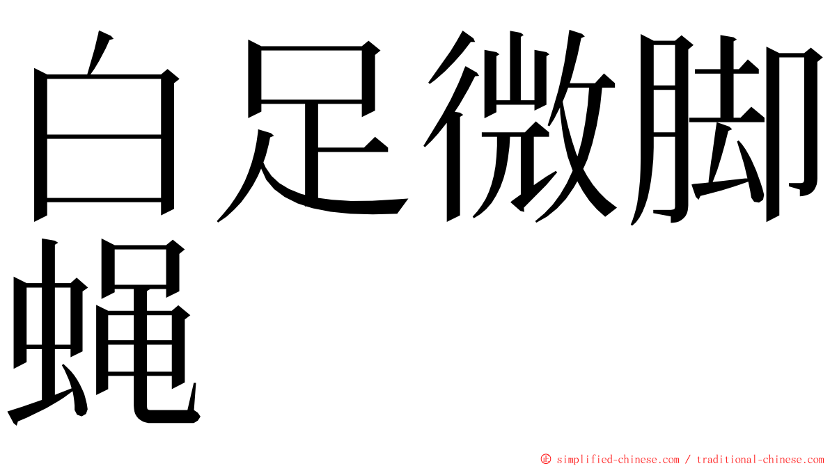 白足微脚蝇 ming font