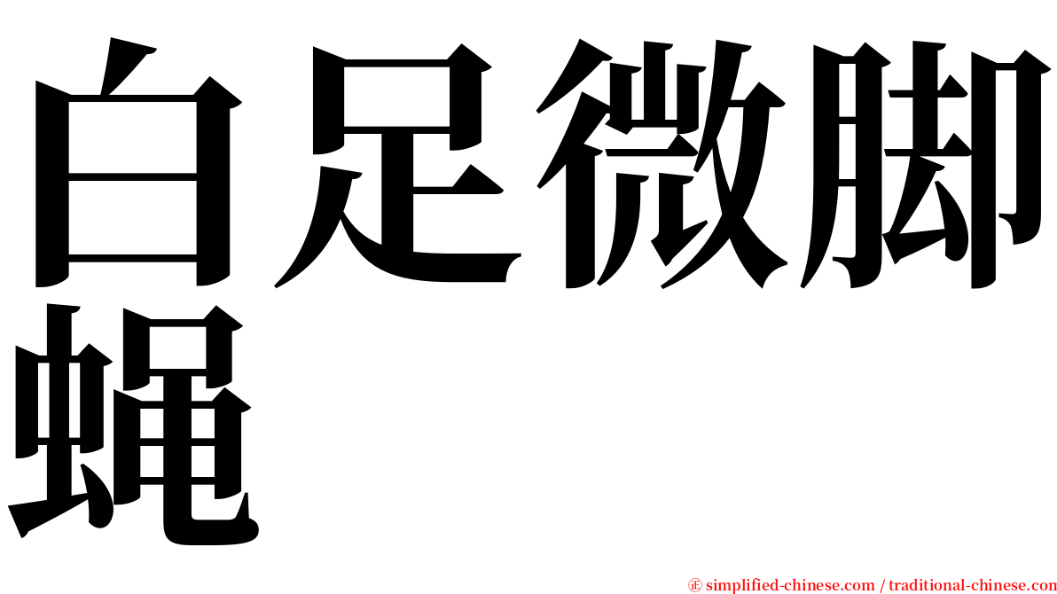 白足微脚蝇 serif font