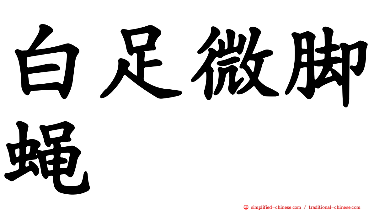 白足微脚蝇