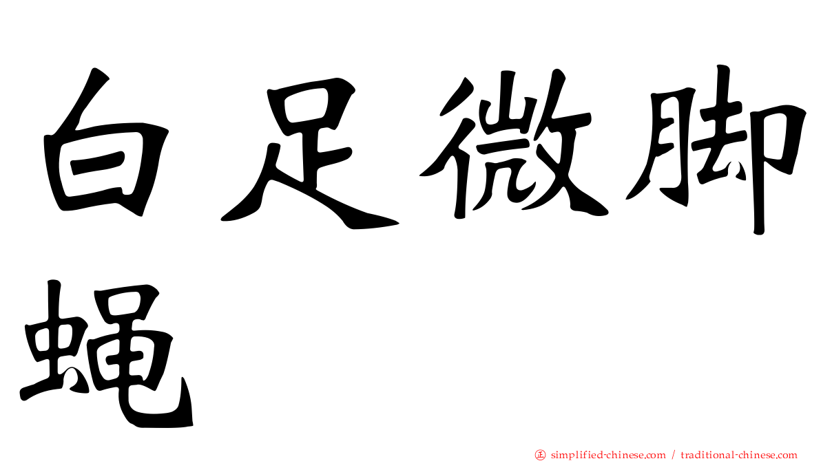 白足微脚蝇