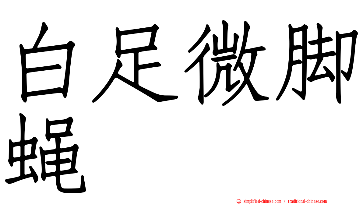 白足微脚蝇