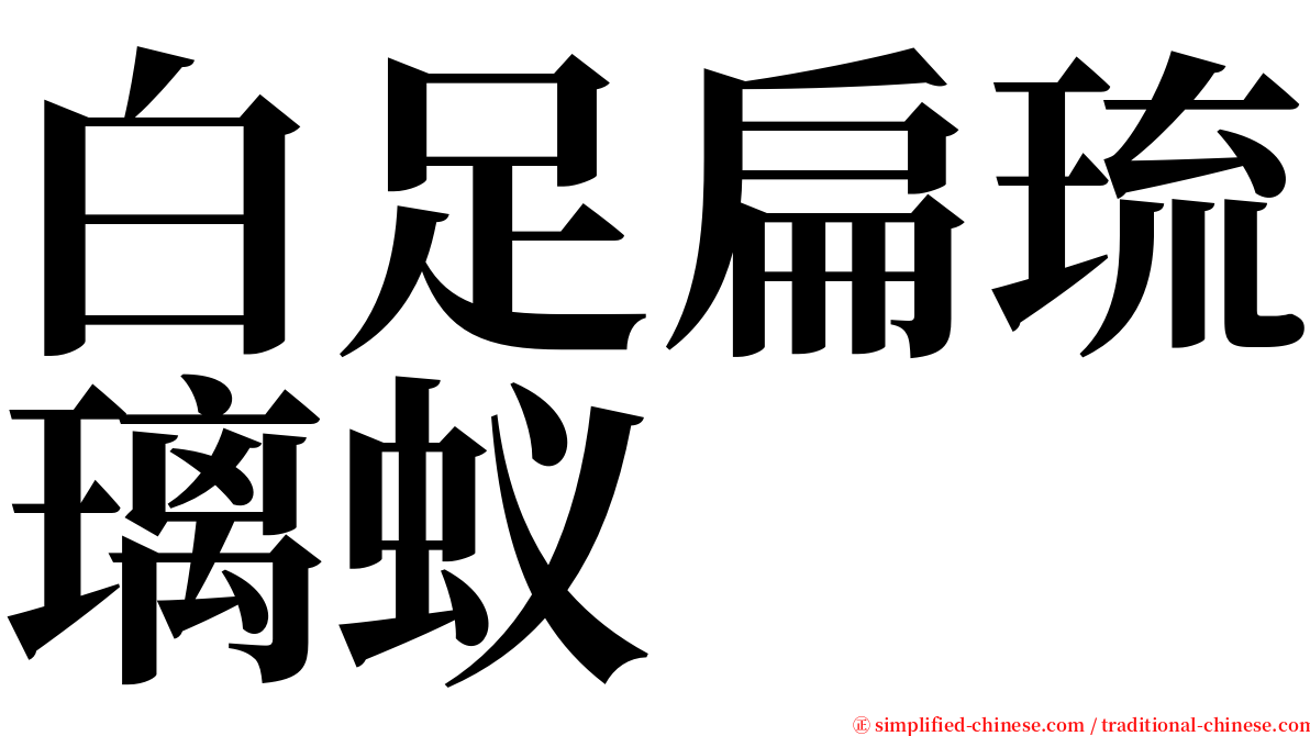 白足扁琉璃蚁 serif font