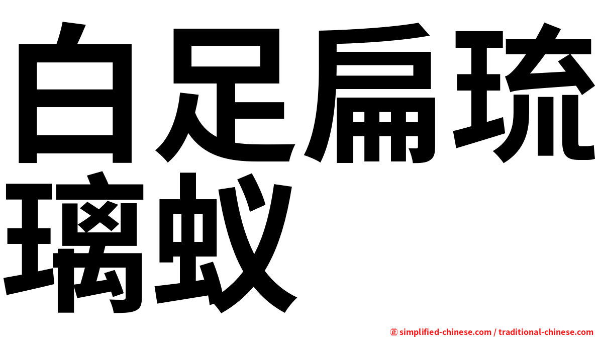白足扁琉璃蚁