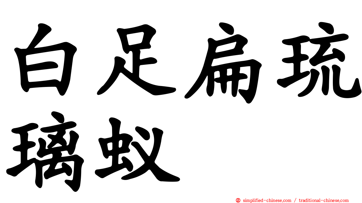 白足扁琉璃蚁