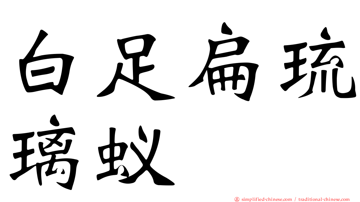 白足扁琉璃蚁