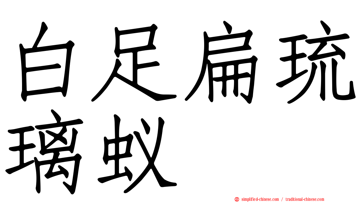 白足扁琉璃蚁
