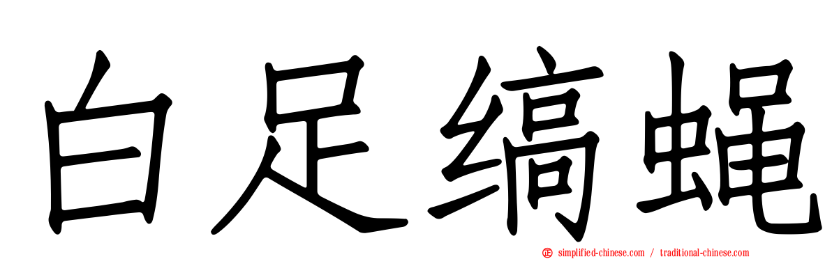 白足缟蝇