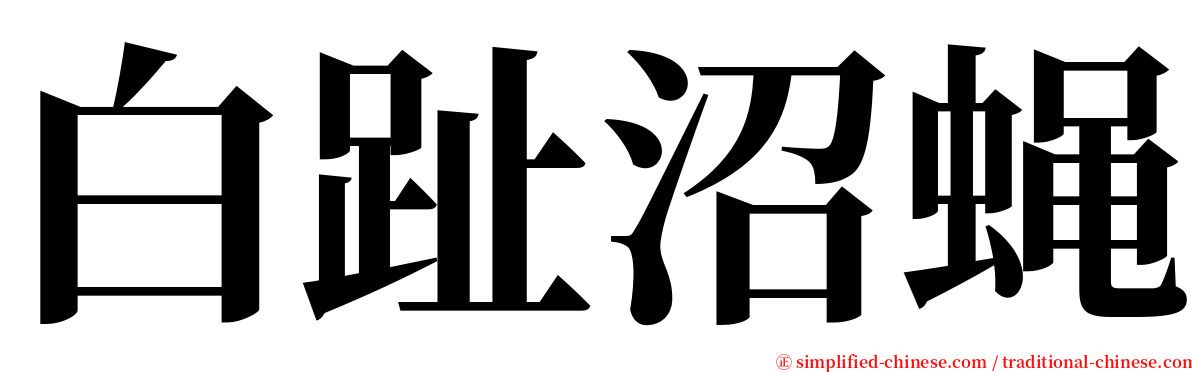 白趾沼蝇 serif font